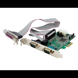 PEX2S5531P | ActForNet