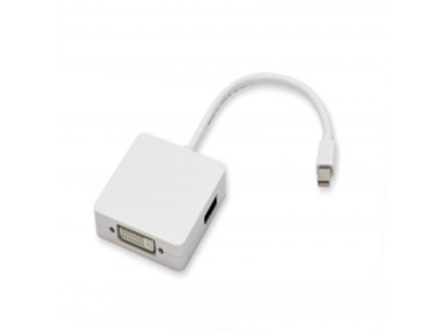 SY-PEX40039 | ActForNet