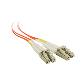 CB-FE0011-S1 | ActForNet