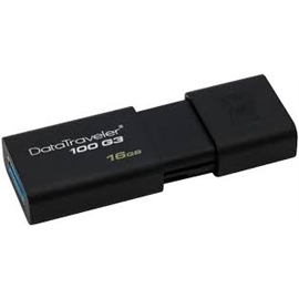 DT100G3/32GB | ActForNet