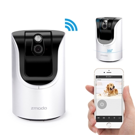 ZH-IZV15-WAC | ActForNet