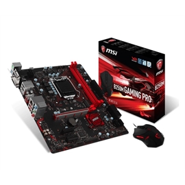 B250M GAMING PRO | ActForNet