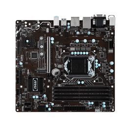 B250M PRO-VDH | ActForNet