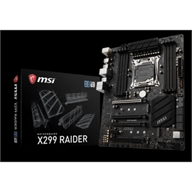 X299 RAIDER | ActForNet