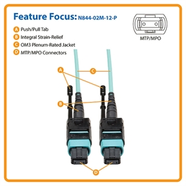 N844-02M-12-P | ActForNet