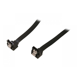 RCAB-11032 | ActForNet